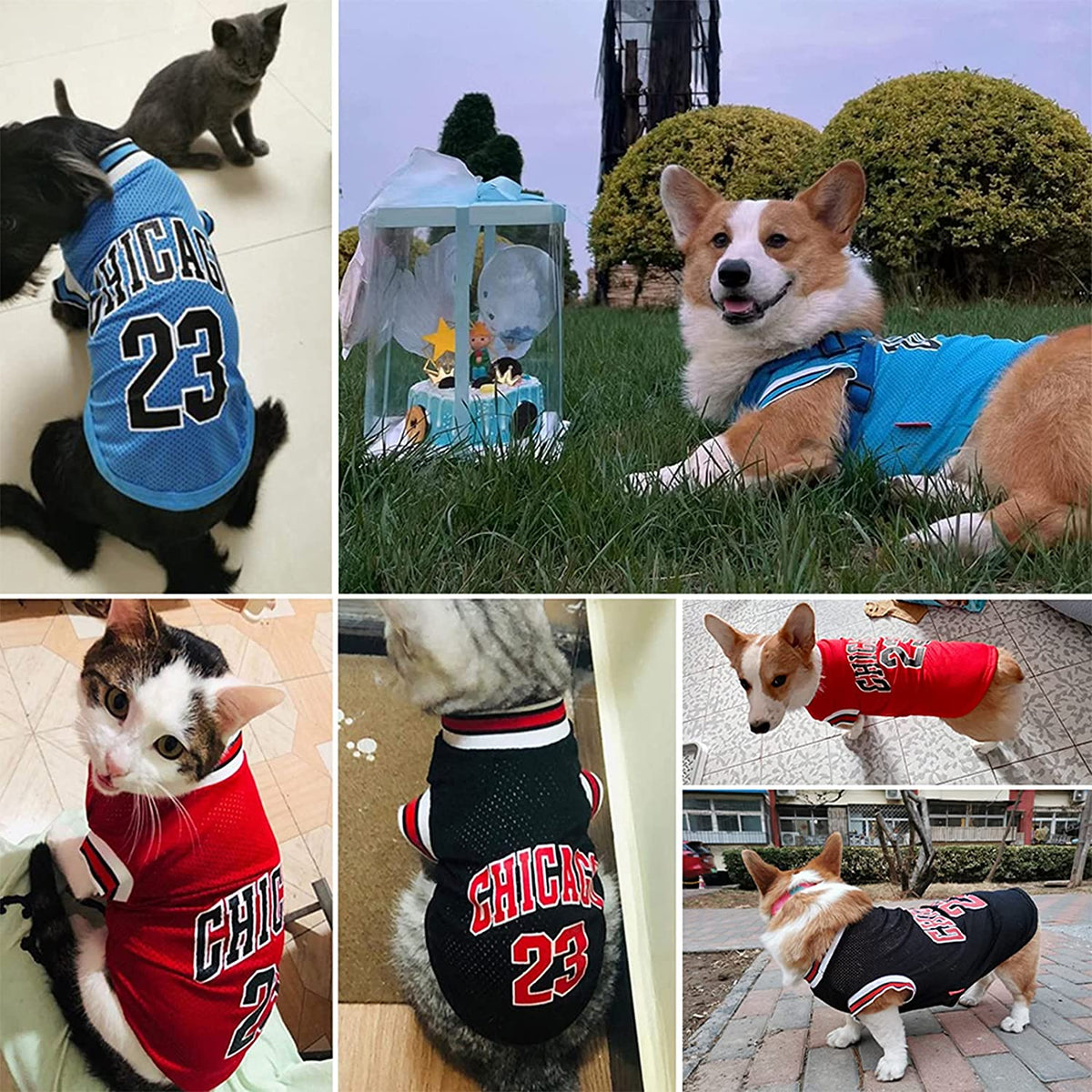 Dog Basketball Jersey - Stylish Cotton T-Shirt for Large, Medium, and Small Dogs, Including Chihuahuas and Yorkies, in Blue and Red, Size Large (Back: 13.78 in, Chest: 18.9 in)