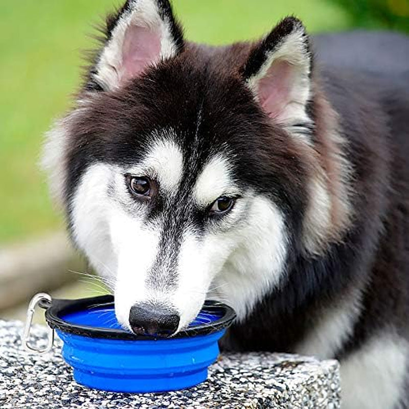 Set of Two 34oz Collapsible Travel Dog Bowls