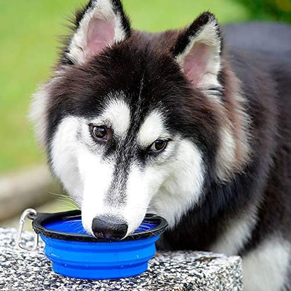 Set of Two 34oz Collapsible Travel Dog Bowls