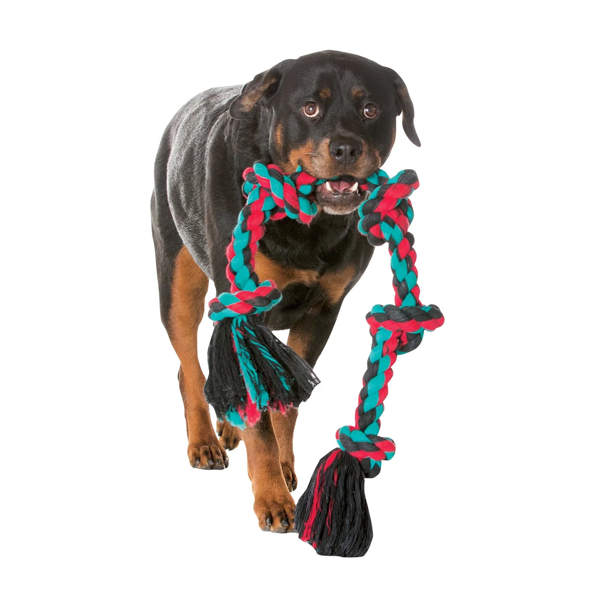 Flossy Chews Extra-Large 3-Knot Cotton Blend Tug Rope Dog Toy, 36", Assorted Colors
