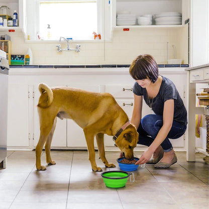 Set of Two 34oz Collapsible Travel Dog Bowls