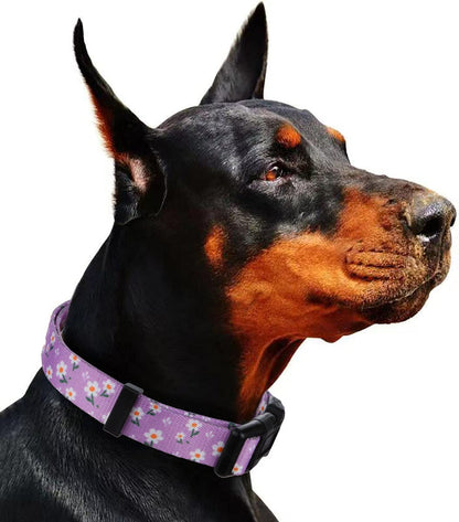Floral Design Daisy Dog Collar for Small Dogs in Purple