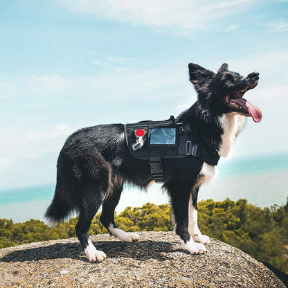 Professional Service Dog Harness for Large Breeds with Removable Neck Strap and Handle (Black, Short Version)