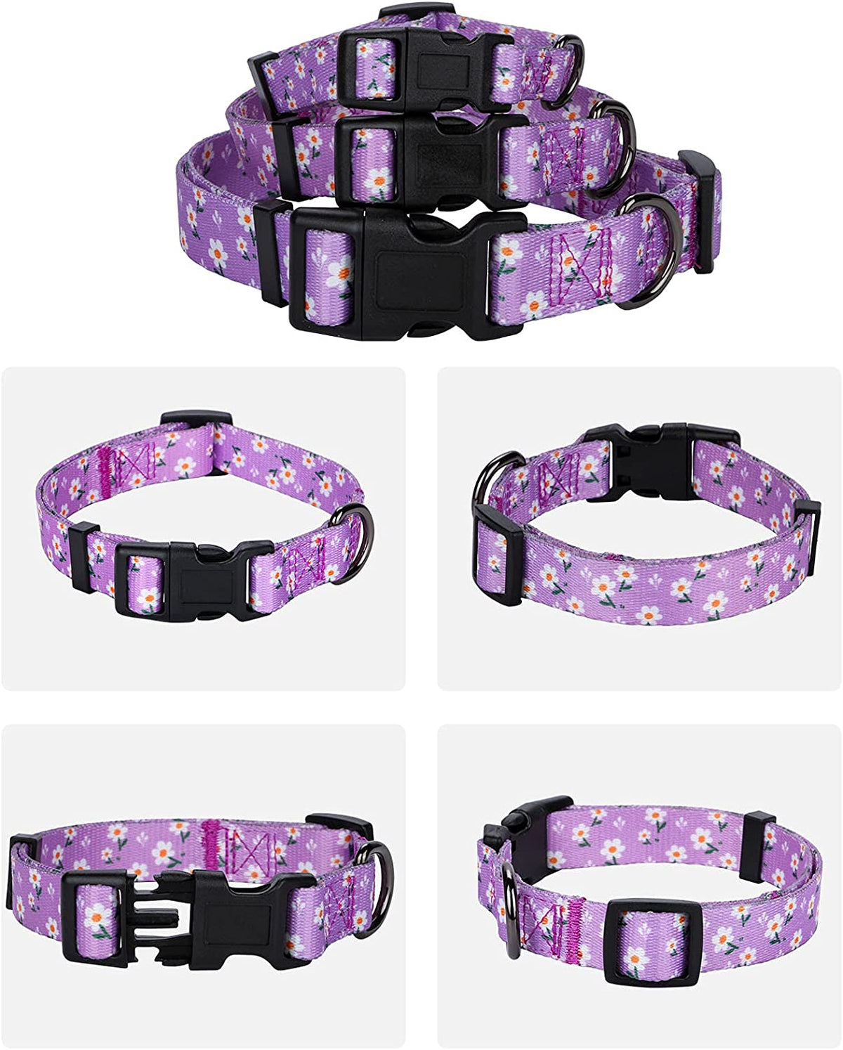 Floral Design Daisy Dog Collar for Small Dogs in Purple