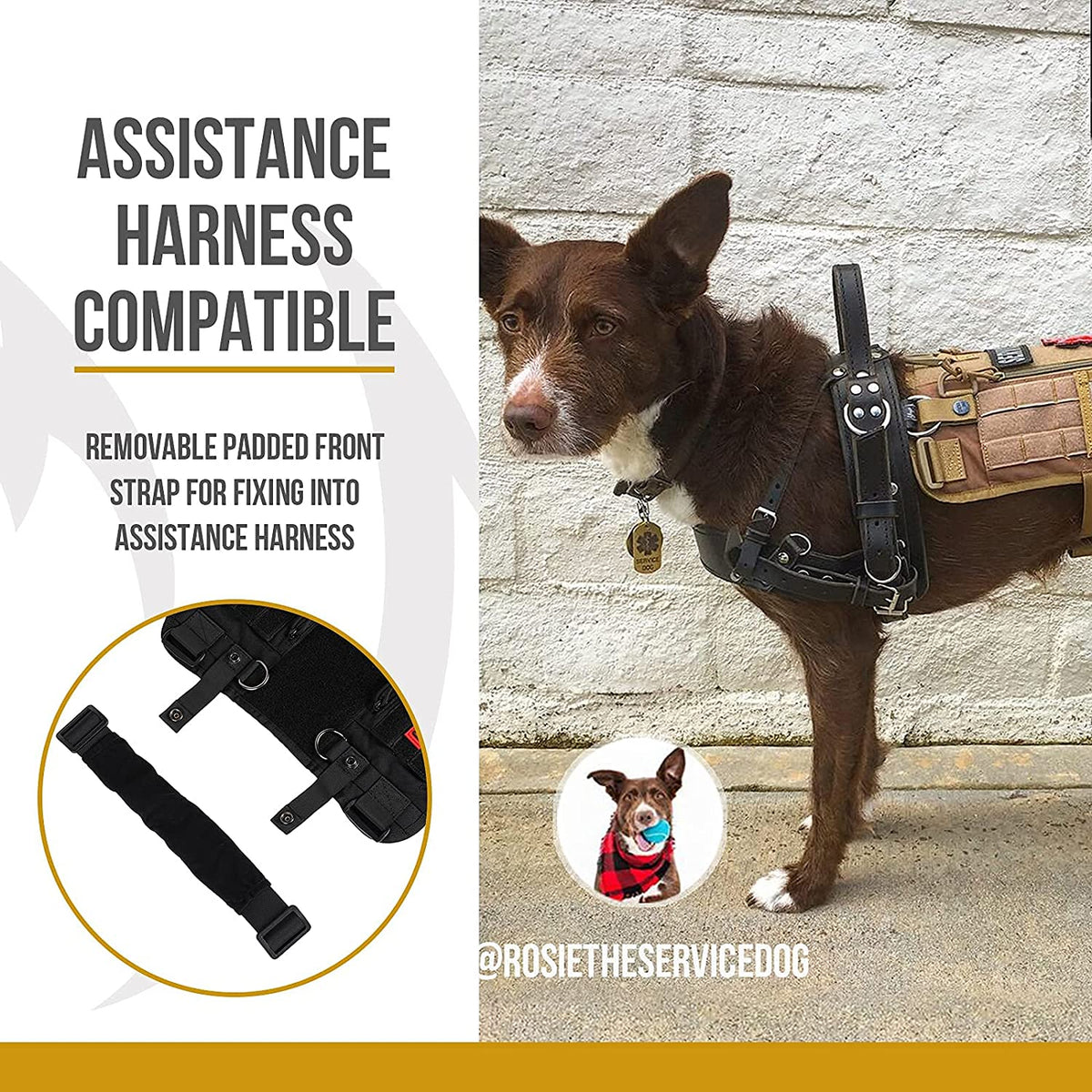 Professional Service Dog Harness for Large Breeds with Removable Neck Strap and Handle (Black, Short Version)