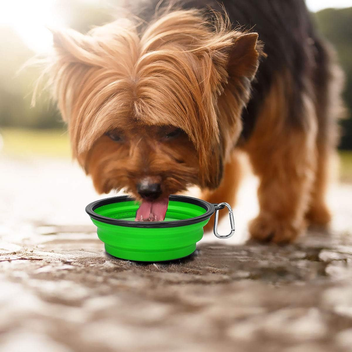 Set of Two 34oz Collapsible Travel Dog Bowls