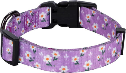 Floral Design Daisy Dog Collar for Small Dogs in Purple